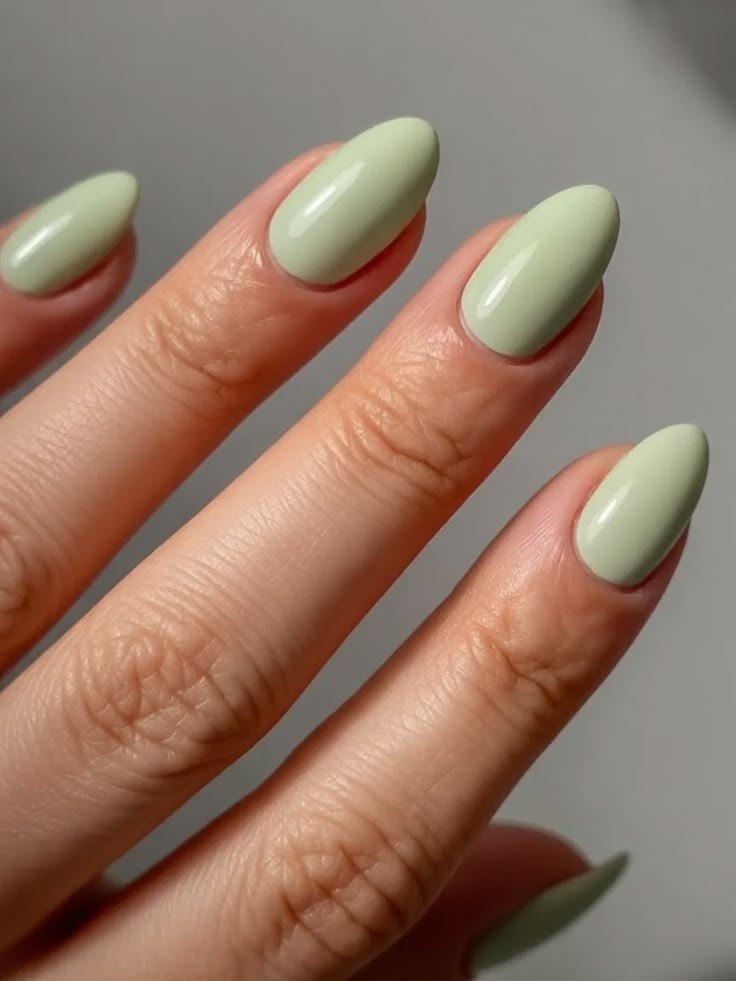 Matcha 6